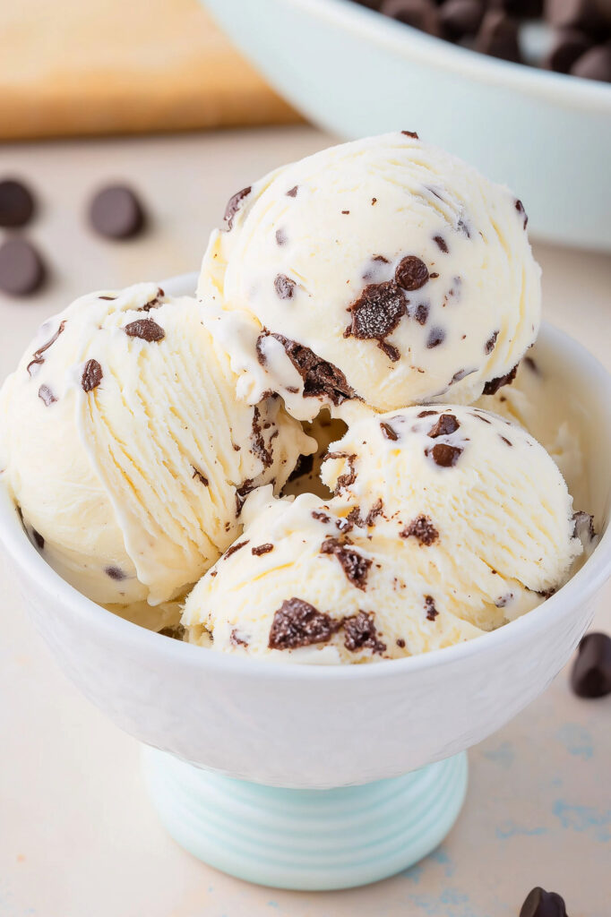 Chocolate Chip Ice Cream