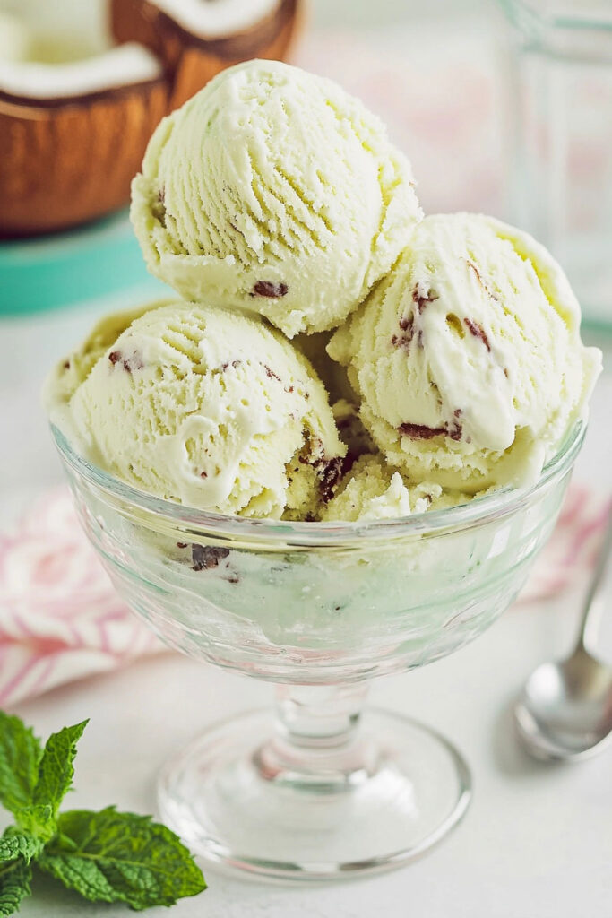 Instructions for Coconut Mint Ice Cream