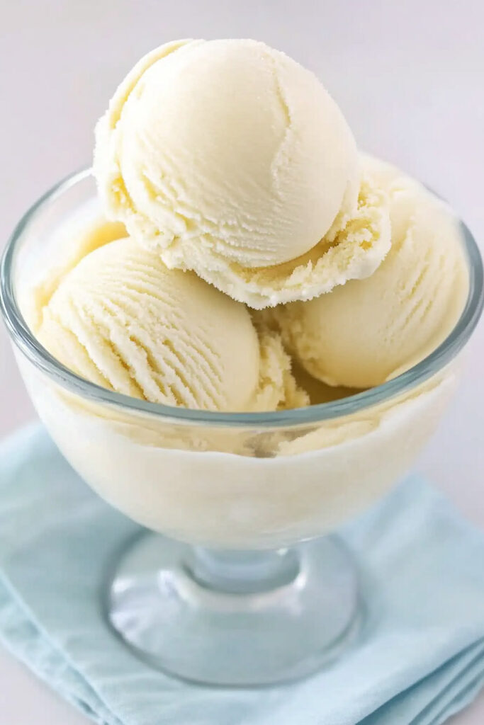 Best Ways to Serve Ninja Creami Vanilla Pudding Ice Cream