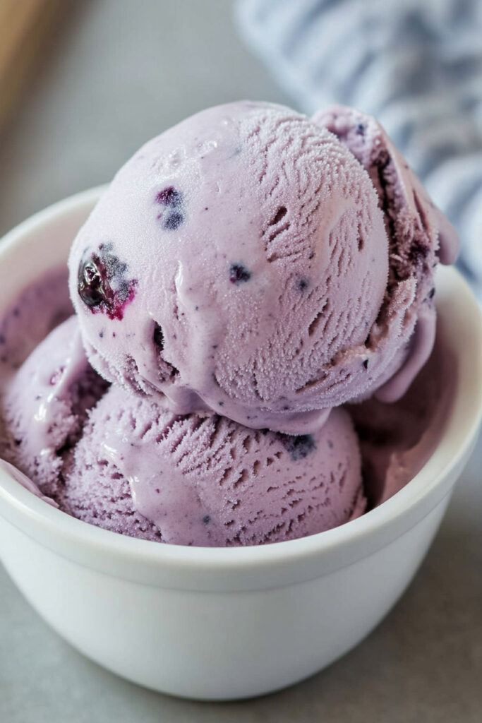 Cuisinart Blueberry Ice Cream