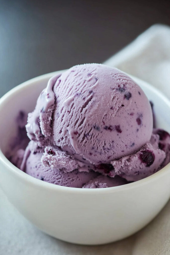 Customizations Cuisinart Blueberry Ice Cream