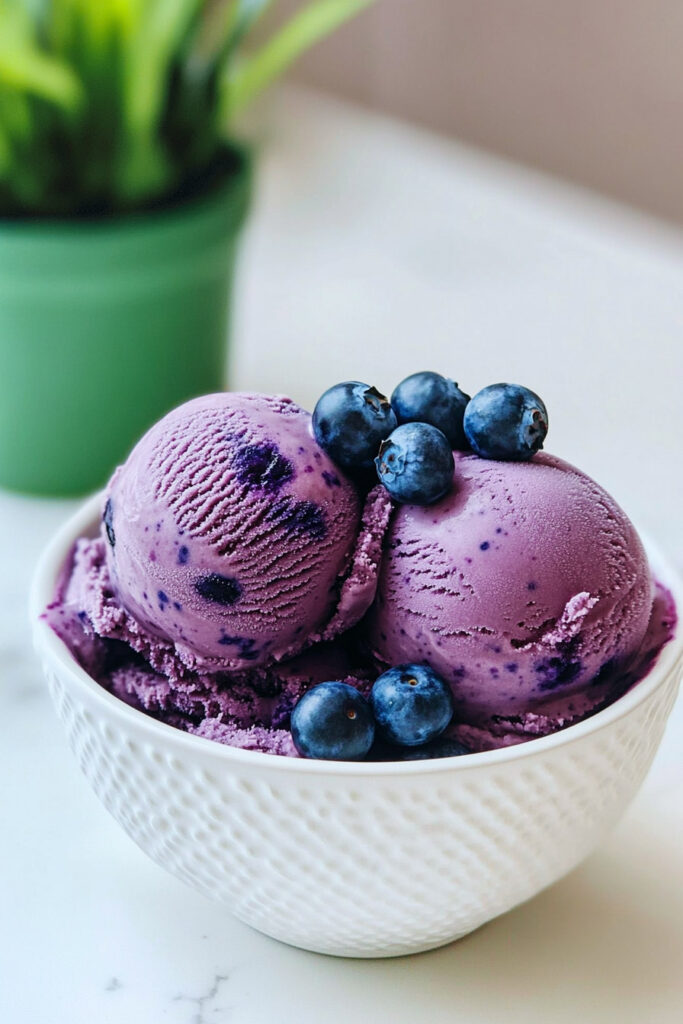 Customizations Ninja Creami Blueberry Ice Cream