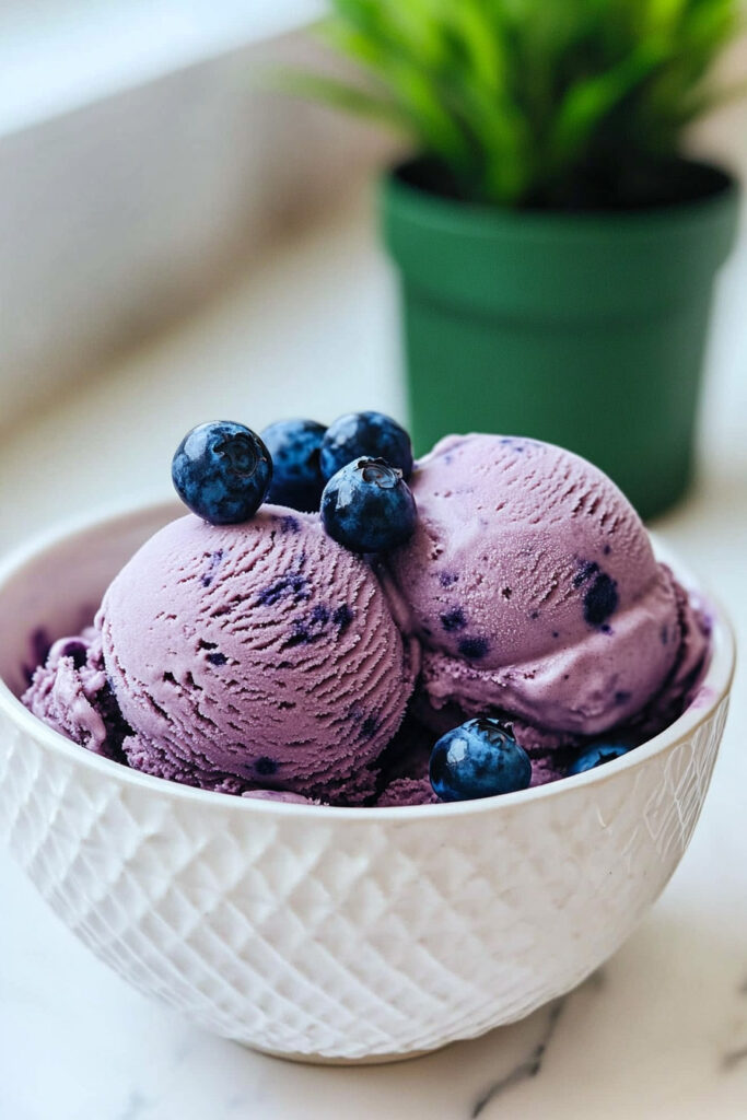 Make Ninja Creami Blueberry Ice Cream