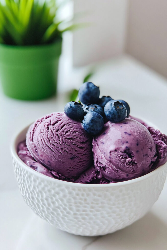 Ninja Creami Blueberry Ice Cream