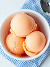 Ninja Creami Cantaloupe Sorbet