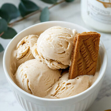 Ninja Creami Cookie Butter Ice Cream Recipe