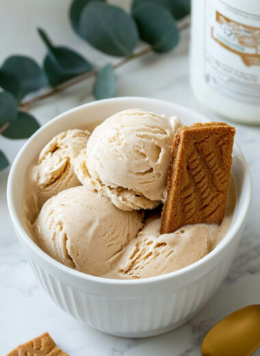 Ninja Creami Cookie Butter Ice Cream Recipe