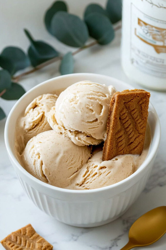 Ninja Creami Cookie Butter Ice Cream Recipe