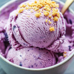 Ninja Creami Keto Blueberry Cheesecake Ice Cream