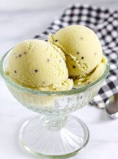 Ninja Creami Kiwi Sorbet Recipe