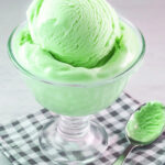 Ninja Creami Lime Sherbet Recipe