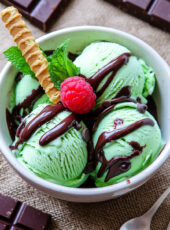 Ninja Creami Mint Chocolate Chip Ice Cream