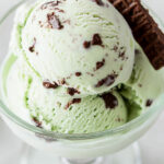 Ninja Creami Thin Mint Ice Cream