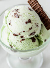 Ninja Creami Thin Mint Ice Cream