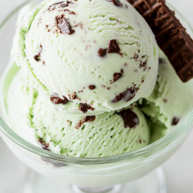 Ninja Creami Thin Mint Ice Cream