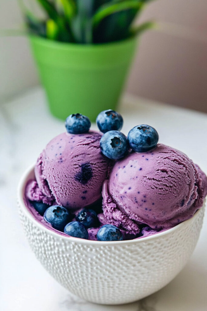 Storing Ninja Creami Blueberry Ice Cream