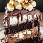 S'mores Ice Cream Cake