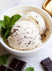 Paleo Mint Chocolate Chip Ice Cream (AIP | Vegan | Keto)