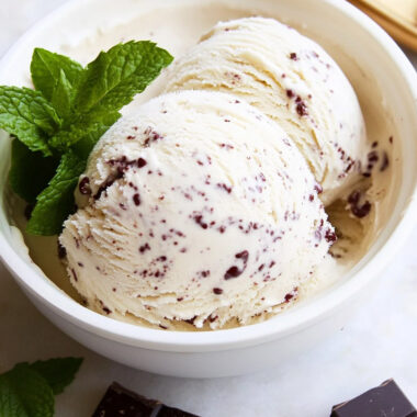 Paleo Mint Chocolate Chip Ice Cream