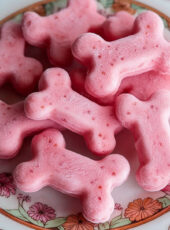 Strawberry Ice Cream for Dogs