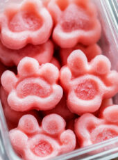 Watermelon Dog Treats (Watermelon Popsicles)