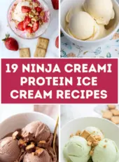 19 Ninja Creami Protein Ice Cream Recipes