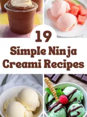 19 Simple Ninja Creami Recipes