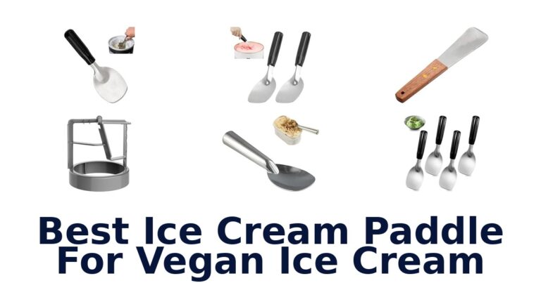 Best Ice Cream Paddle For Vegan Ice Cream Best Ice Cream Paddle For Vegan Ice Cream