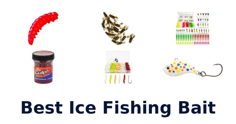 Best Ice Fishing Bait: Top 10 Picks for 2026 best ice fishing bait
