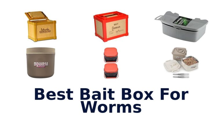 Best Bait Box For Worms