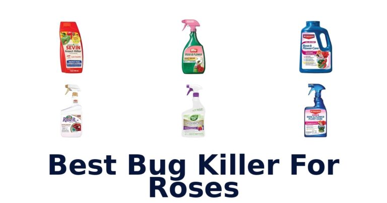 Best Bug Killer For Roses for Different Pest Problems Best Bug Killer For Roses