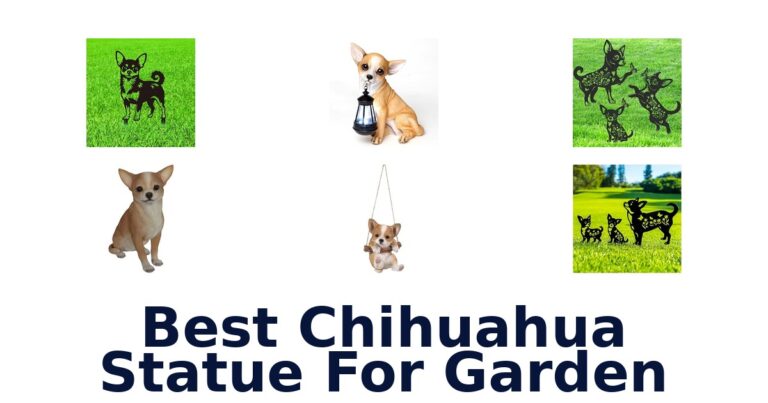 Best Chihuahua Statue For Garden
