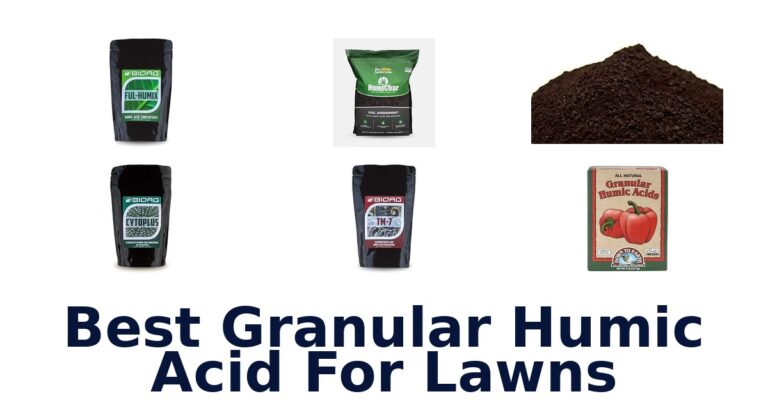 Best Granular Humic Acid For Lawns