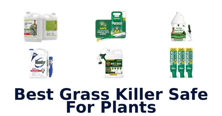 Best Grass Killer Safe For Plants