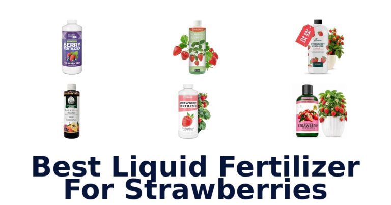 Best Liquid Fertilizer For Strawberries
