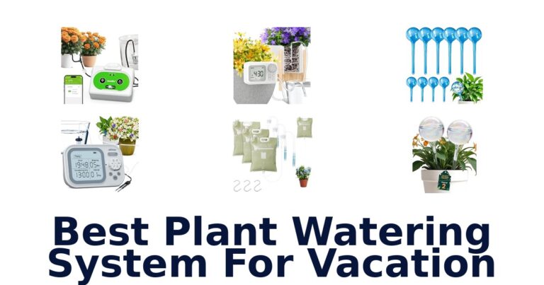 Best Plant Watering System For Vacation