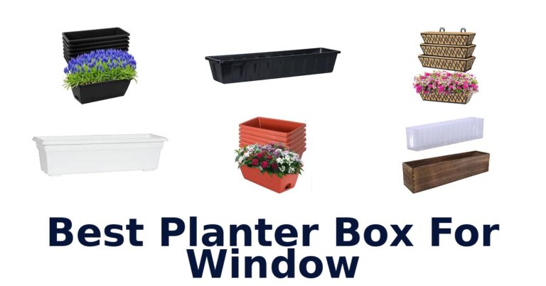 Best Planter Box For Window