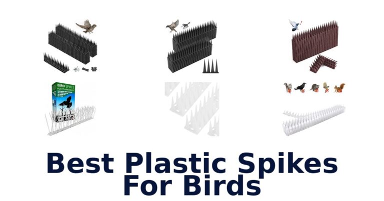 Best Plastic Spikes For Birds