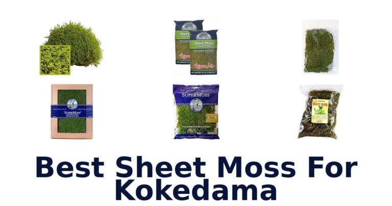 Best Sheet Moss For Kokedama
