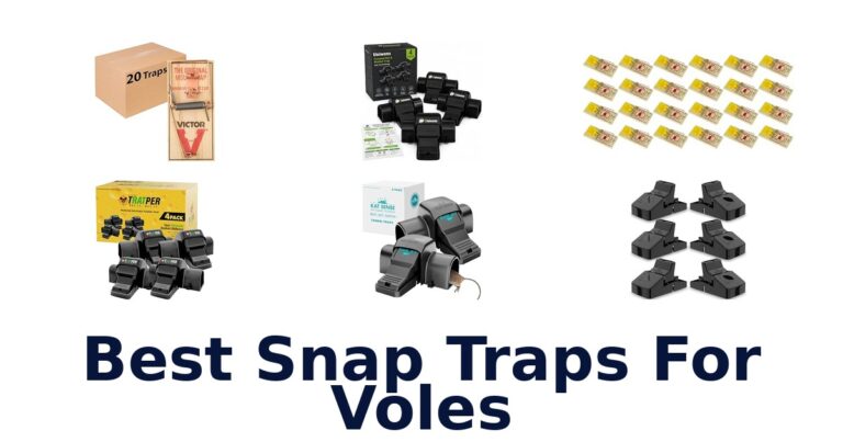Best Snap Traps For Voles