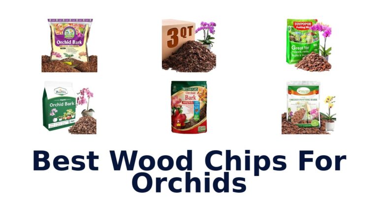 Best Wood Chips For Orchids